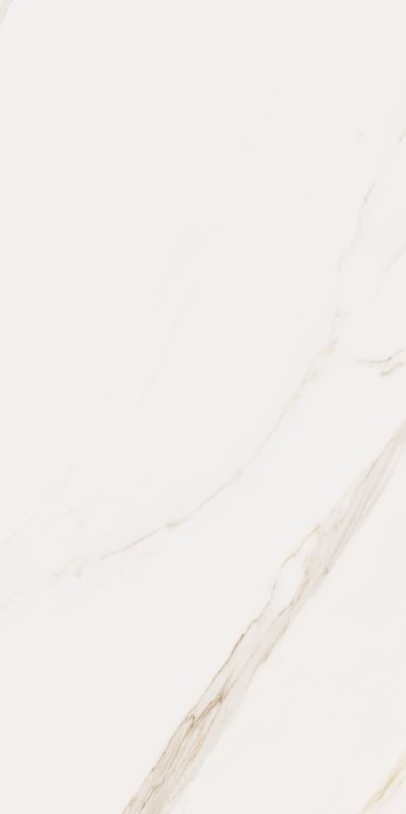Omnia Calacatta Matte 24 x 48